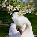 Nature_Earth_Stars