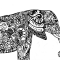 Nelephant