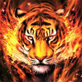 Tiger Beatz