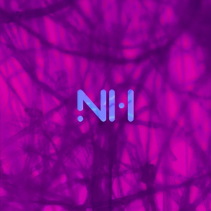 Neon Hallucinations