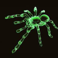 NeonSpyder
