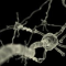 Neuron