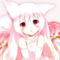 nevaeh_knight_evsck12_com