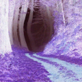 NewDarkMatter