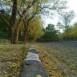 newdev20_gmail_com