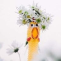 nguy_n_th_duy_n