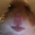 nicholasp77_educbe_ca