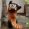 nick13
