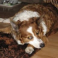 nickybell14_googlemail_com