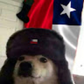 Nicolas_lizana