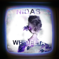 NidasWhiDelta