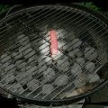 niekocaster