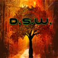 DarkSkyWatcher