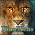 ninowebs_ninowebs