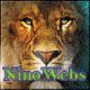 ninowebs_ninowebs