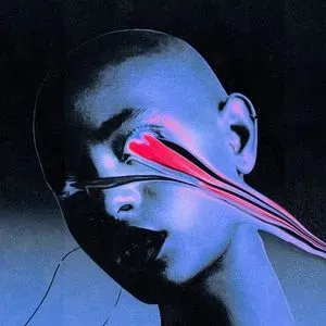 VOIDZEN