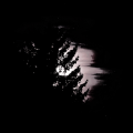 nln42