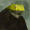 joe