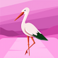 no_solomon_mcdonaldr1_net