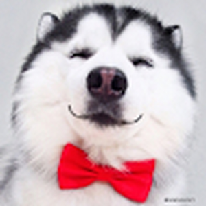 nonemtrong0165_gmail_com