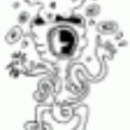 noraus1