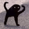 K4N3