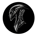 ÆNOKKA COSHIC