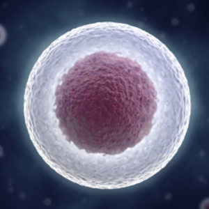 Nucleus