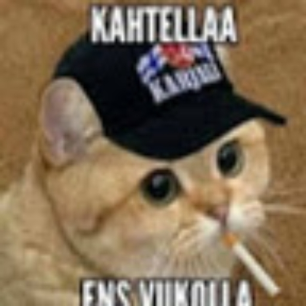 EnVittuTiedä