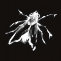 Fly On The Wall