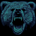 OldBear20