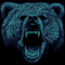 OldBear20