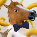 OOF13