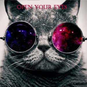 The OYE Project