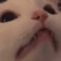 otf_chikki