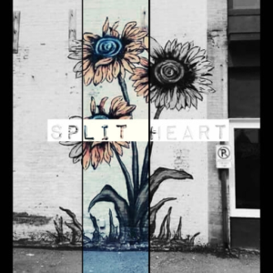 Split Heart