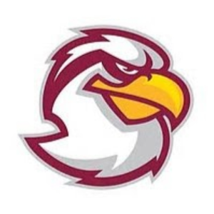 oWLPro