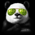 Panda4Ever