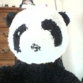 panda_gaming_33