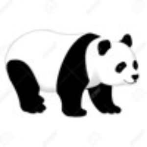 panda_guy