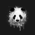 pandamanBEATZZ