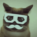Paradoxicalpotato