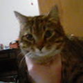 paris_shaddix720_gmail_com