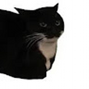 patrickcookie123
