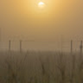 paul2510boyman_gmail_com