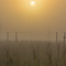 paul2510boyman_gmail_com