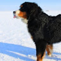 paulina_w_213