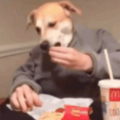 PChristie_Freedom7
