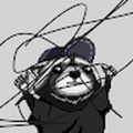 pedrotheraccoon