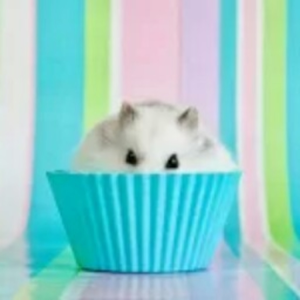 Peeps2319